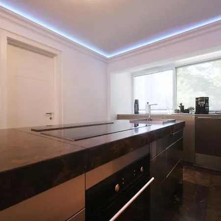 Ginkgo Biloba Apartment Annecy